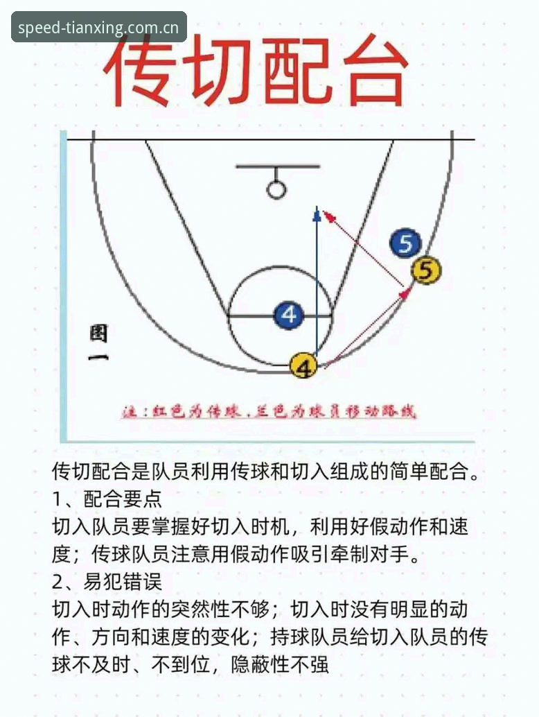 天行体育赛事回放最新版 上海男篮G4晋级关键战:替补深度与体能分配实战解析